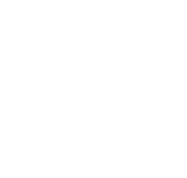 RaiX Project